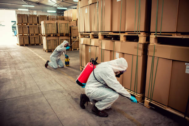 Best Flea Control Services  in Barton, NM