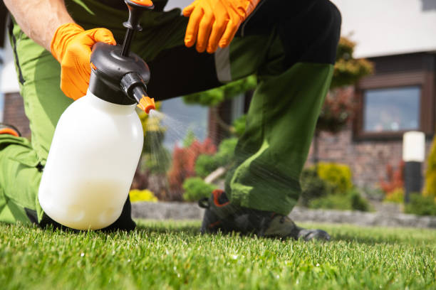 Best Cockroach Control Services  in Barton, NM