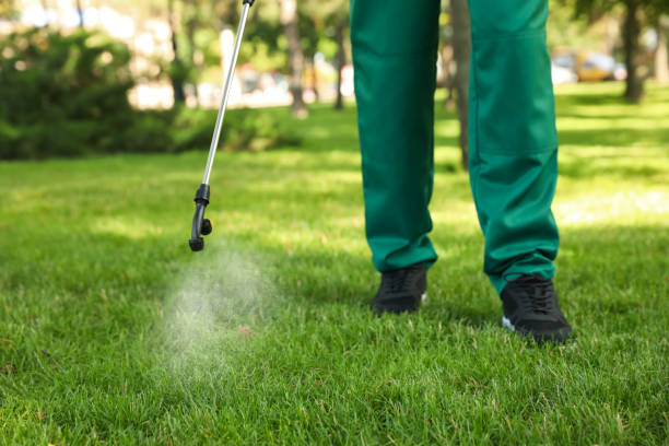 Best Emergency Pest Control  in Barton, NM