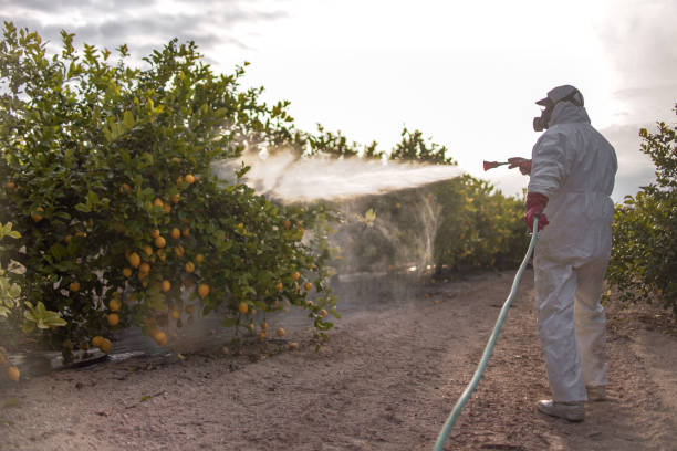 Best Bird Control  in Barton, NM