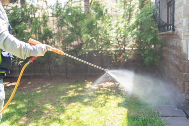 Best Ant Control Services  in Barton, NM