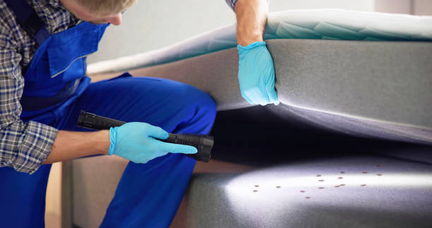 Best Pest Prevention Services  in Barton, NM